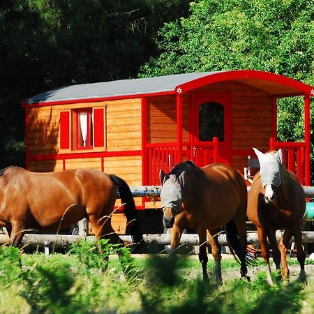 Gypsy Nature B&B Jumelles  部屋 写真