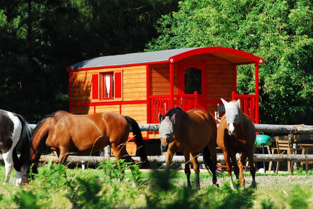 Gypsy Nature B&B Jumelles  部屋 写真