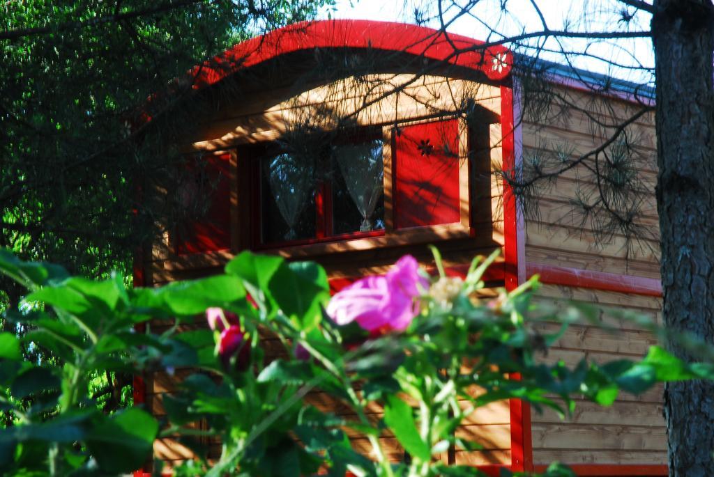 Gypsy Nature B&B Jumelles  部屋 写真